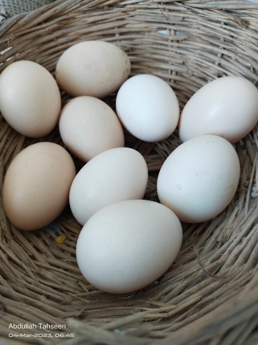 Pure Desi Eggs