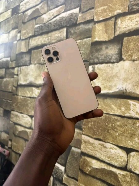 Smartphone haut de gamme