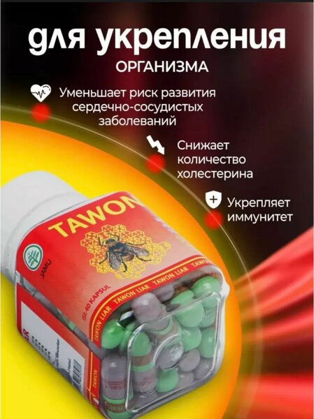 Tawon Liar Пчёлка