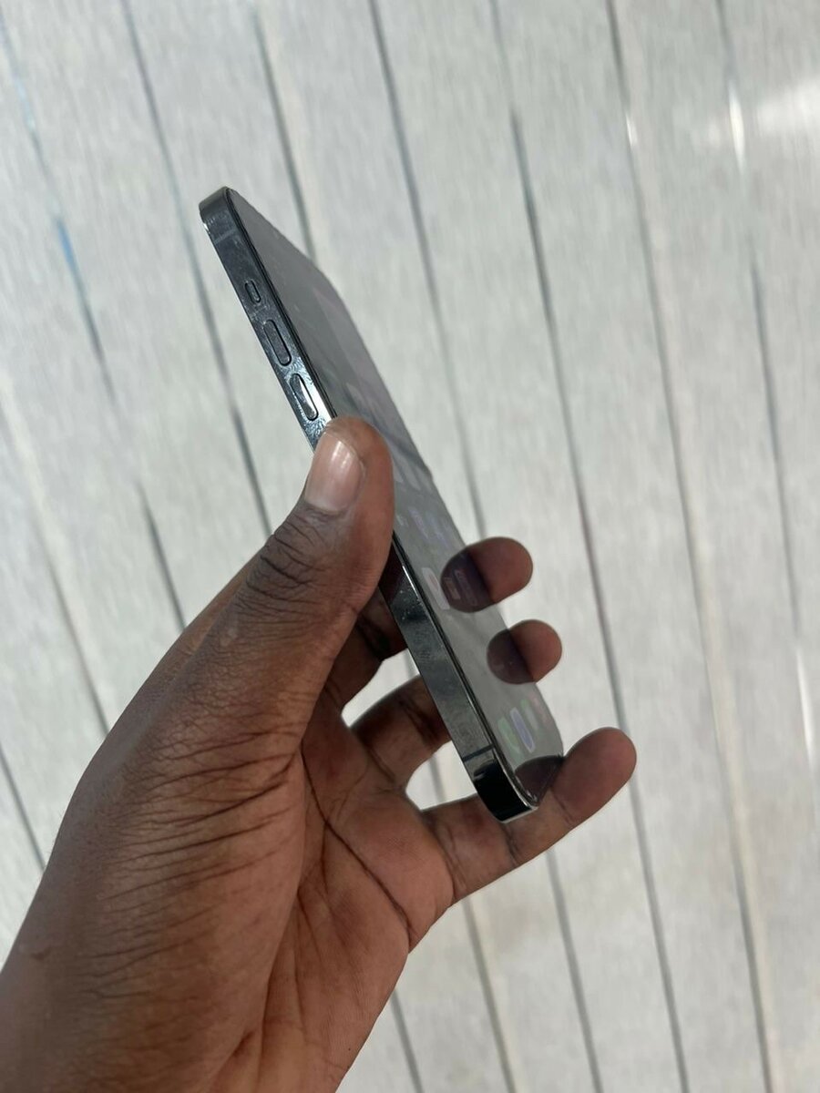 13 pros max 512 giga