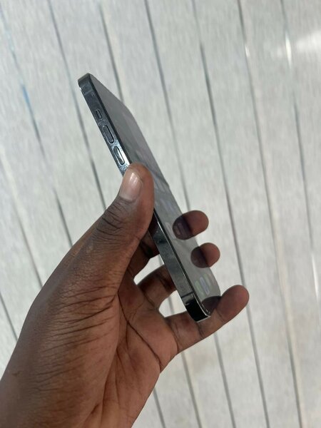 13 pros max 512 giga