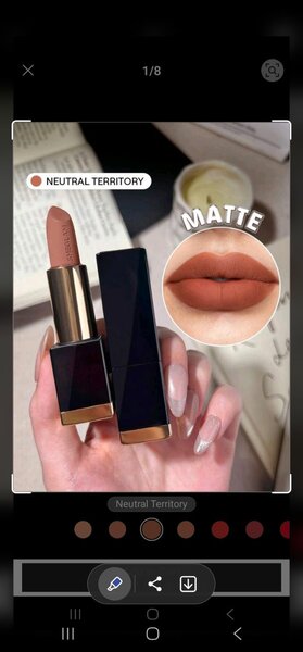 Matte Nude Lipstick