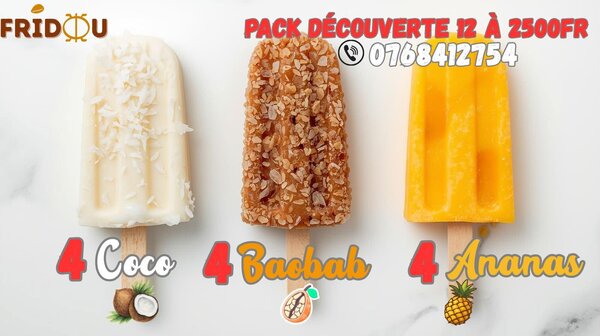 Pack de 12 Glaces FRIDOU