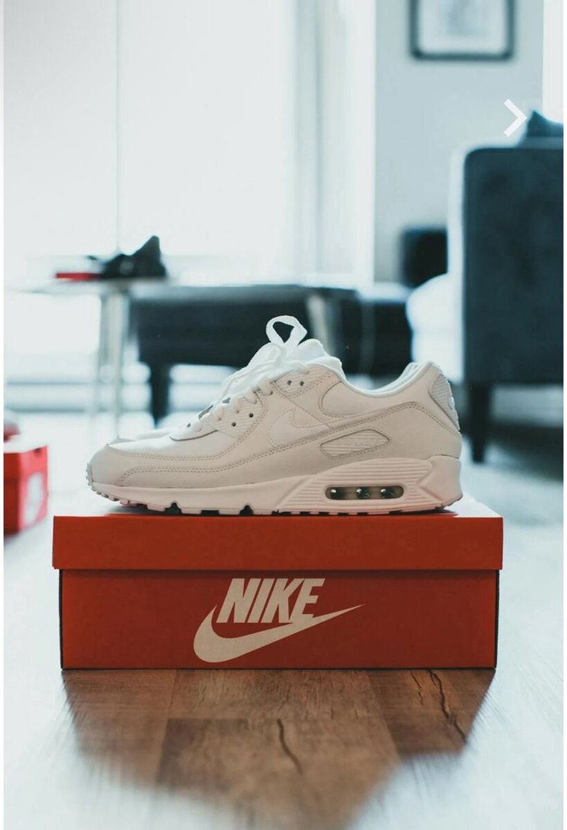 Baskets Nike Air Max élégantes