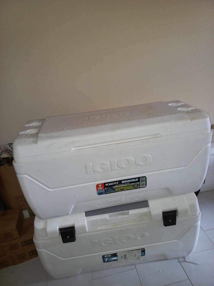 Glacière Igloo Marine Blanc