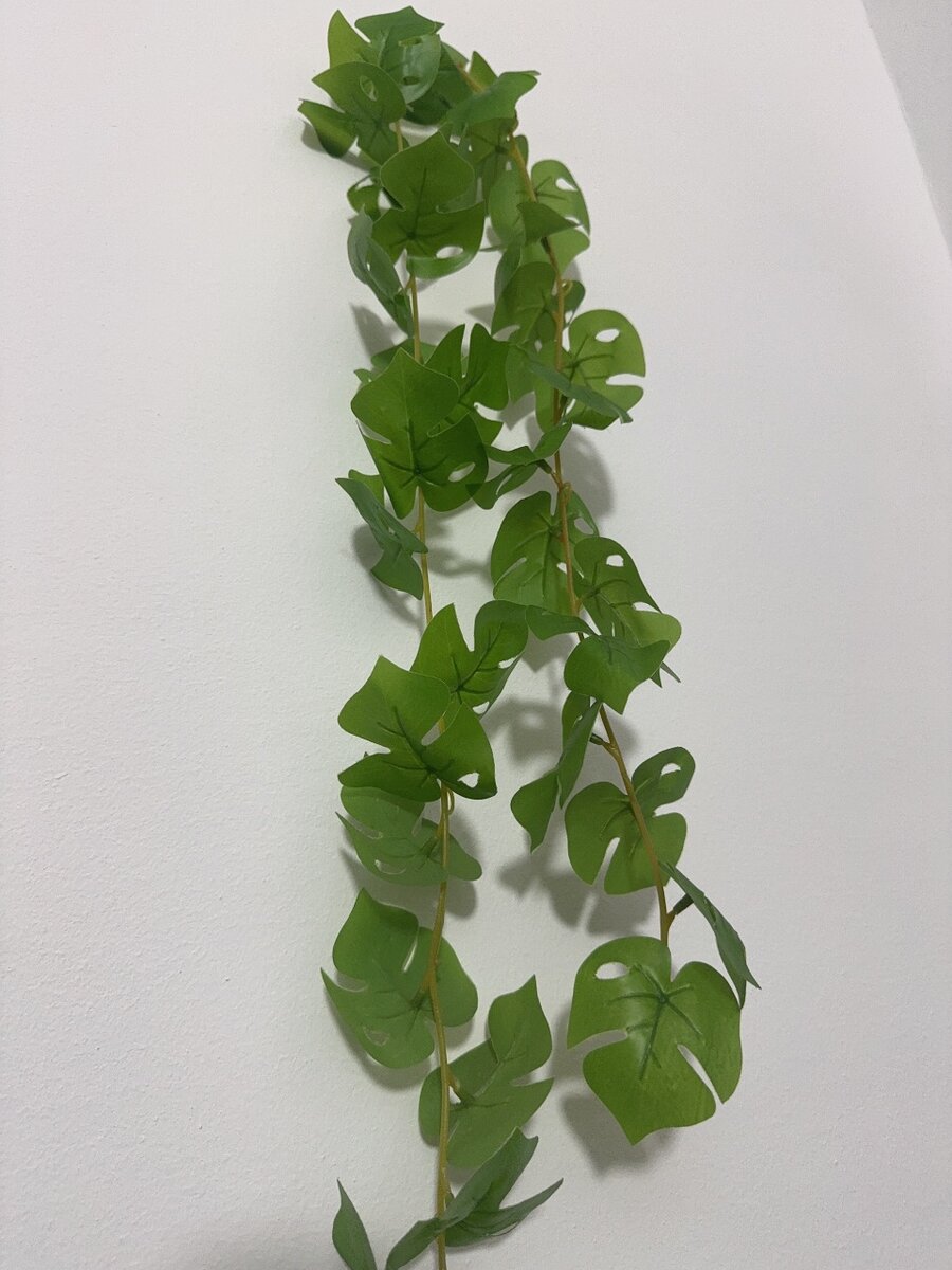 Décorative hanging plant