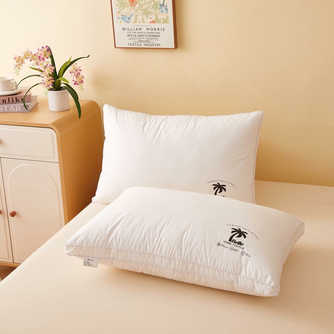 Oreillers Doux en Microfibre