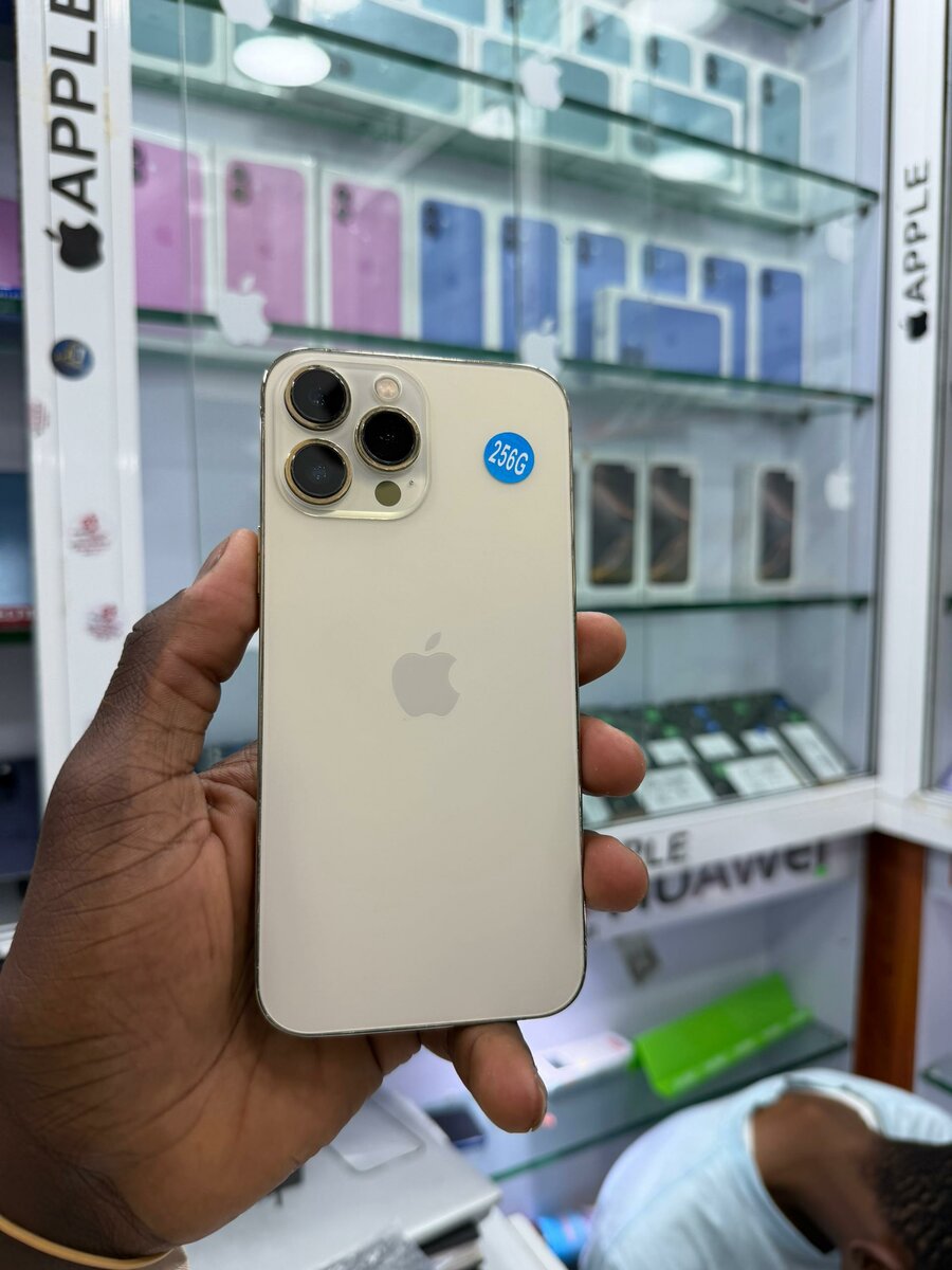 13 pro max 256 Go message écra