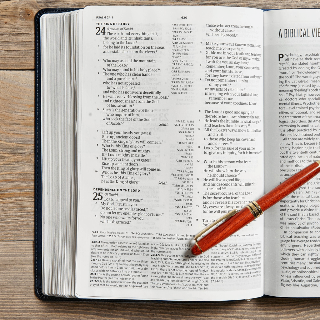 CSB WORLD-VIEW STUDY BIBLE