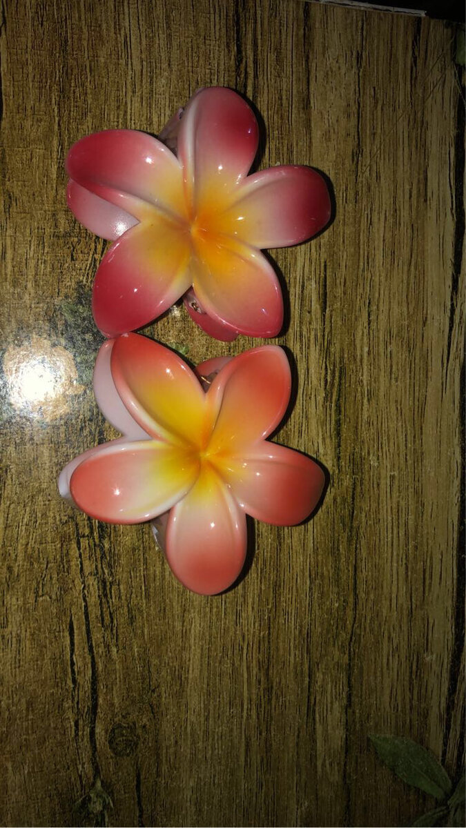 Pince à cheveux fleur tropicale