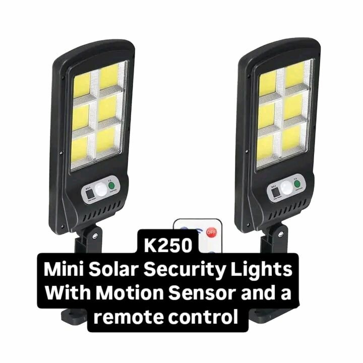 Mini Solar Security Lights