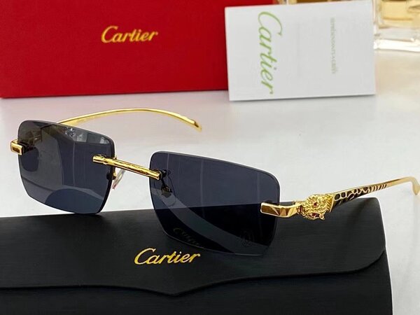 Lunettes de soleil Cartier élégantes