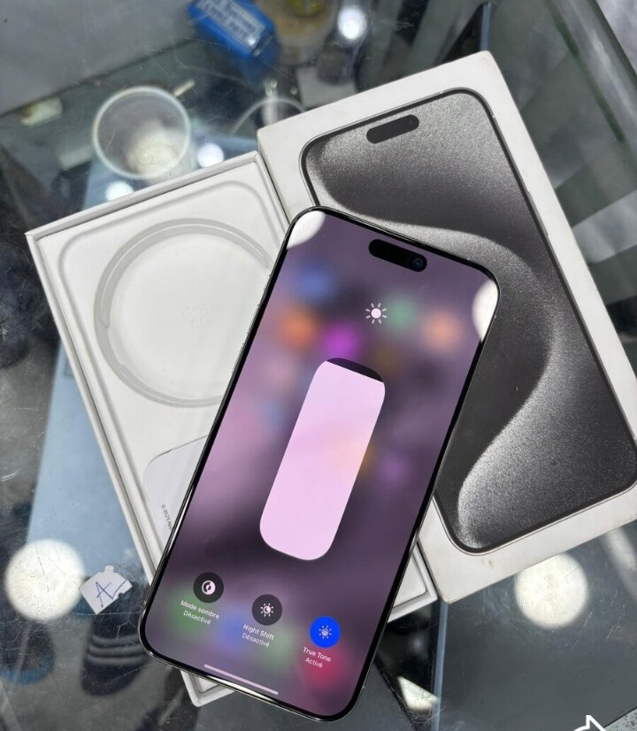 iPhone 13 Pro Max 256 Go