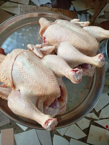 Poulet bio