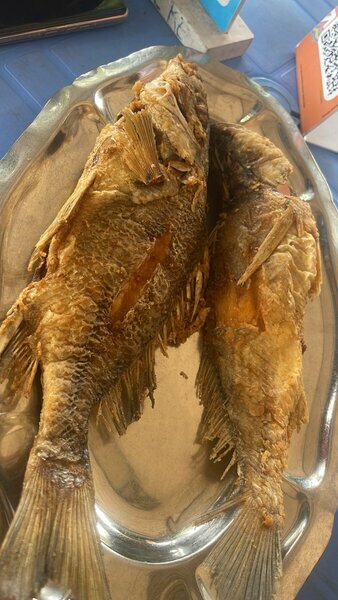 Poisson Sosso frit très grand