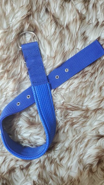 Collier robuste pour chien