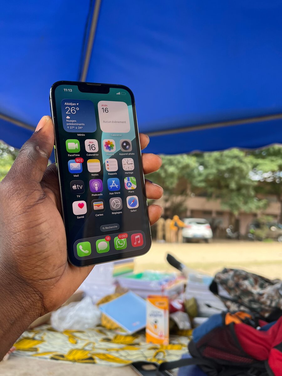 iPhone Pro Max Argent 256 Go