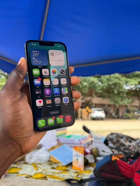 iPhone Pro Max Argent 256 Go