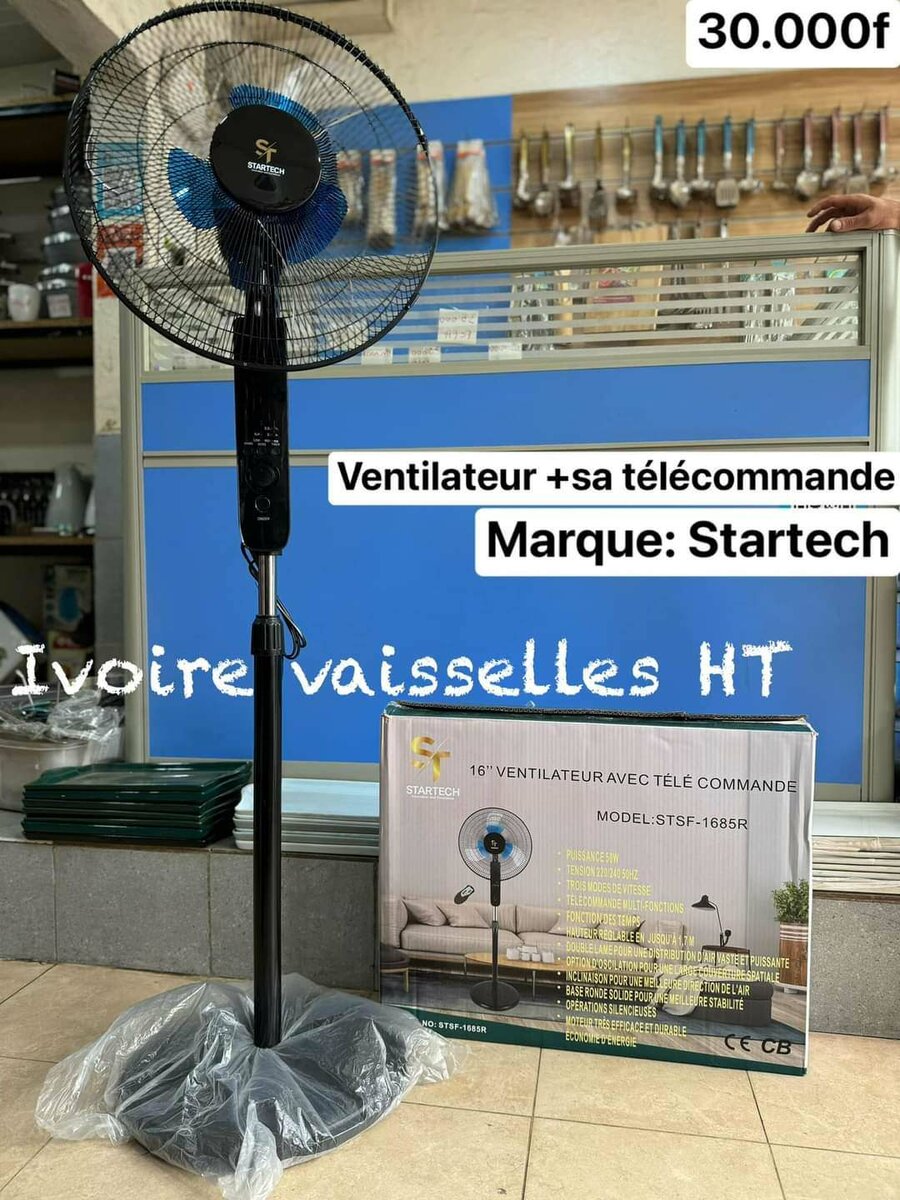 Ventilateur + Télécommande
