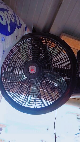 Ventilateur mural puissant