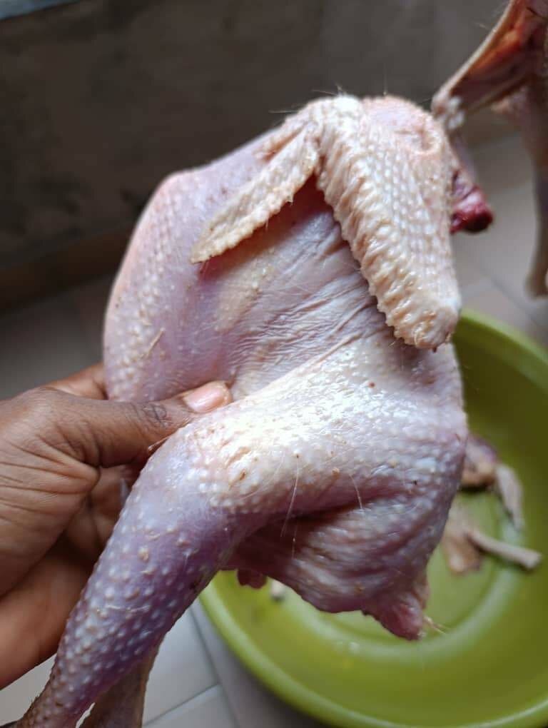 Poulet pondeuse frais