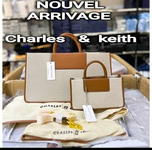 Sac Charles & Keith 