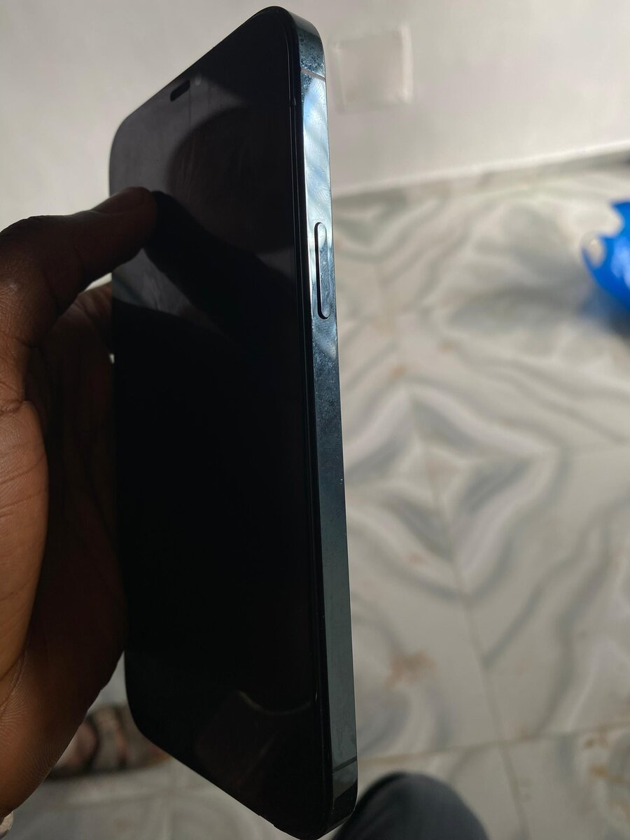 iPhone 12 Pro Max Bleu