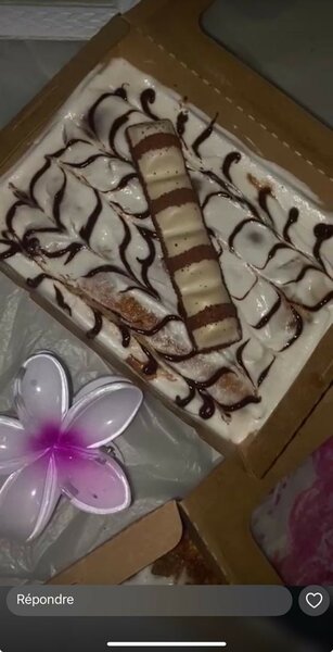 Délice glacé au chocolat