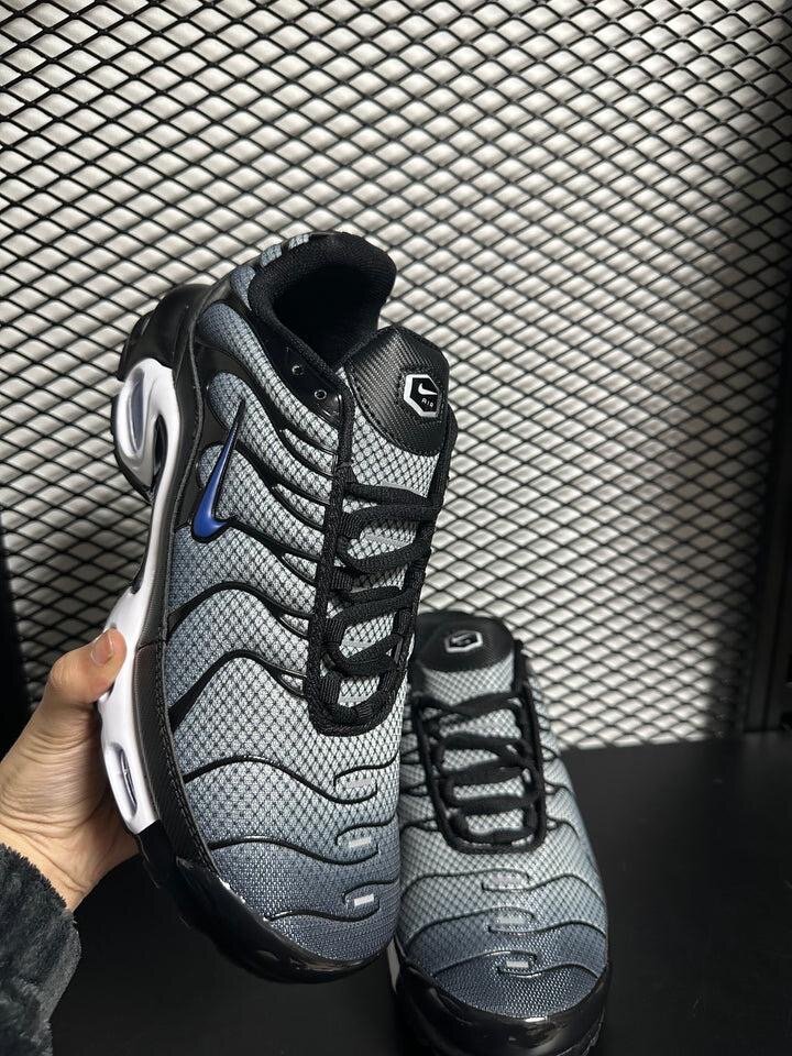 Sneakers Air Max et NIKE TN