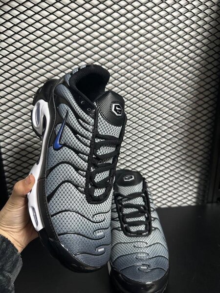 Sneakers Air Max et NIKE TN