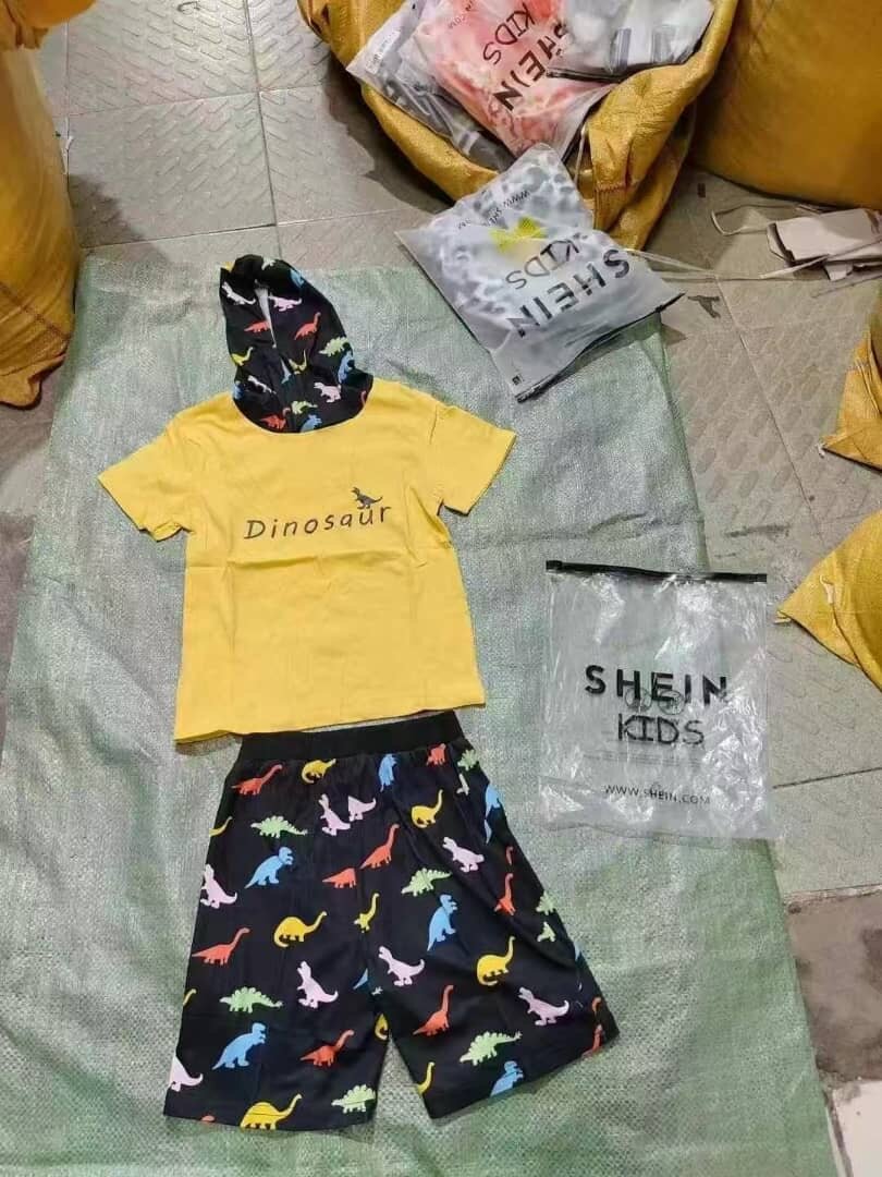 Ensemble Dinosaure pour Enfants