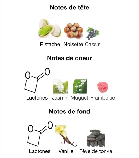 Parfum Lattafa Affection