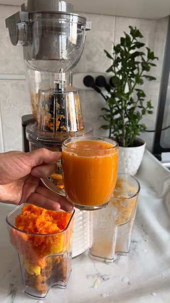 Раскладушка соковыжималка