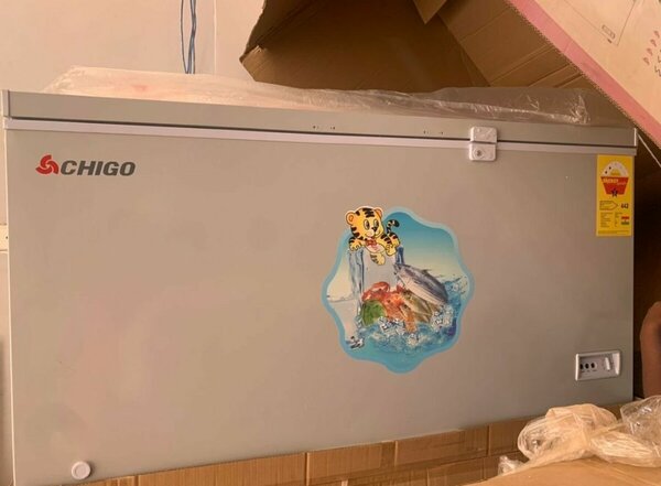 Chigo chest freezer