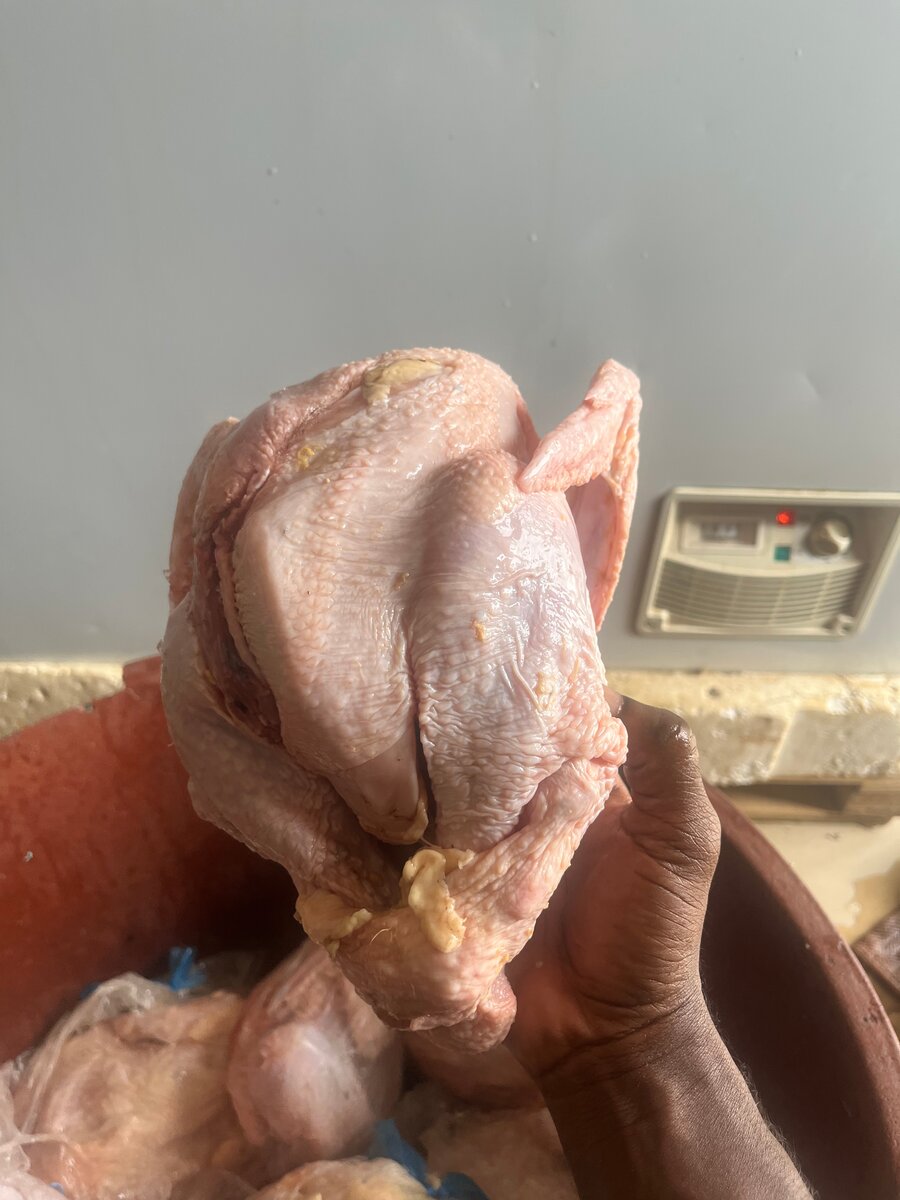 Poulet africain frais