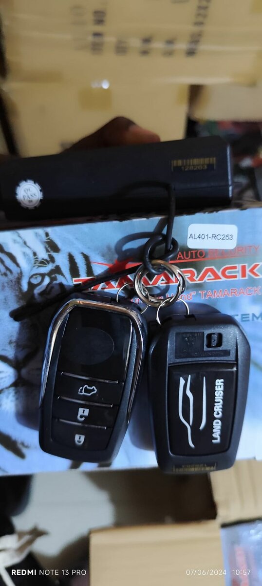 Car alarm  security system and keyless entry central locking