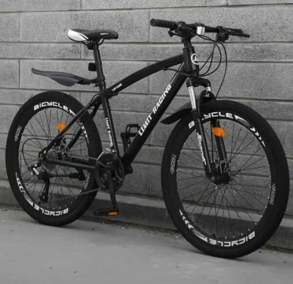 Vélo tout-terrain robuste