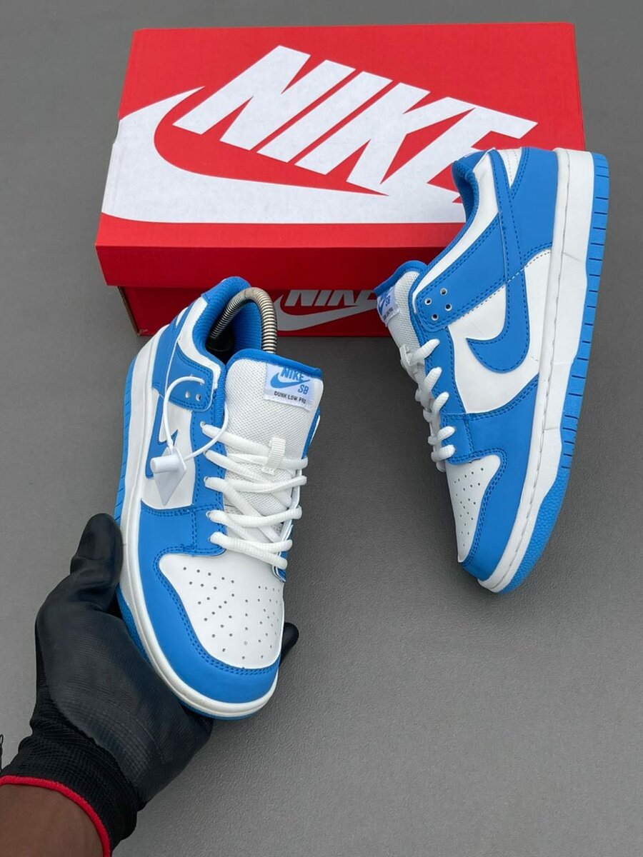 Nike Dunk Low Bleu Blanc