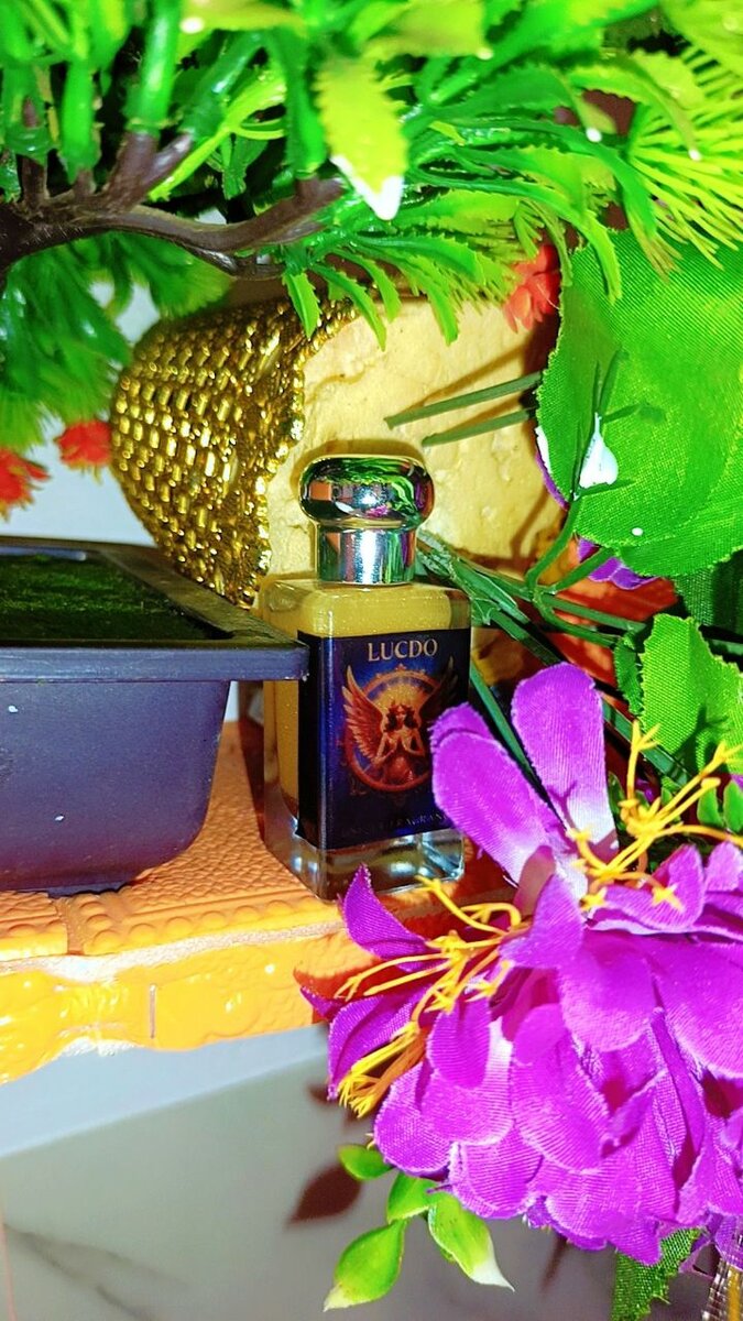 Parfum LUCDO Homme Intense