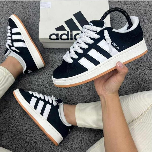 Adidas campus