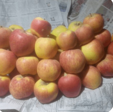 Apple 1kg