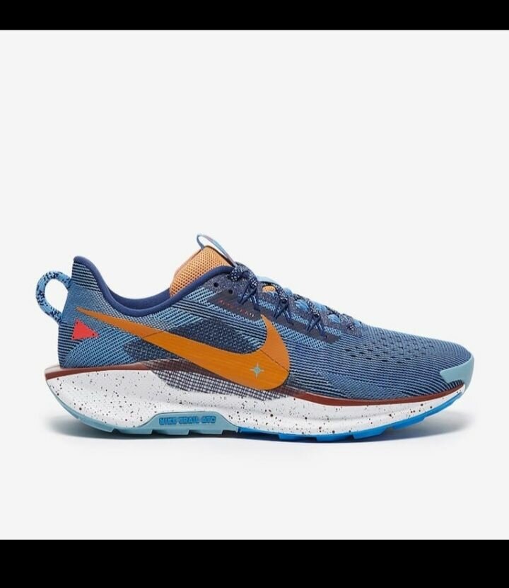 Baskets Nike Trail Running