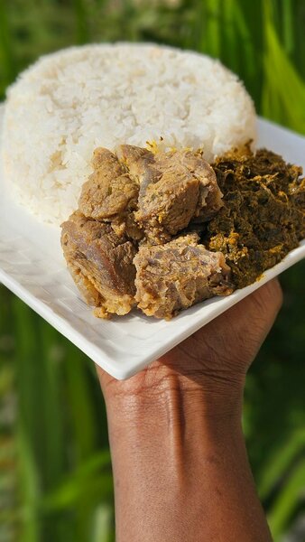 Repas savoureux au riz et viande