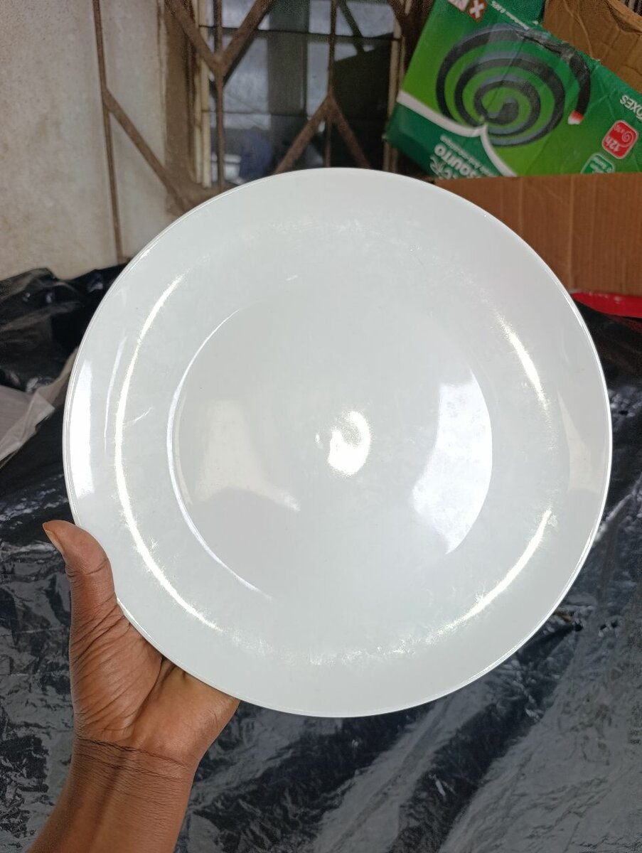 Assiette en Porcelaine  26cm