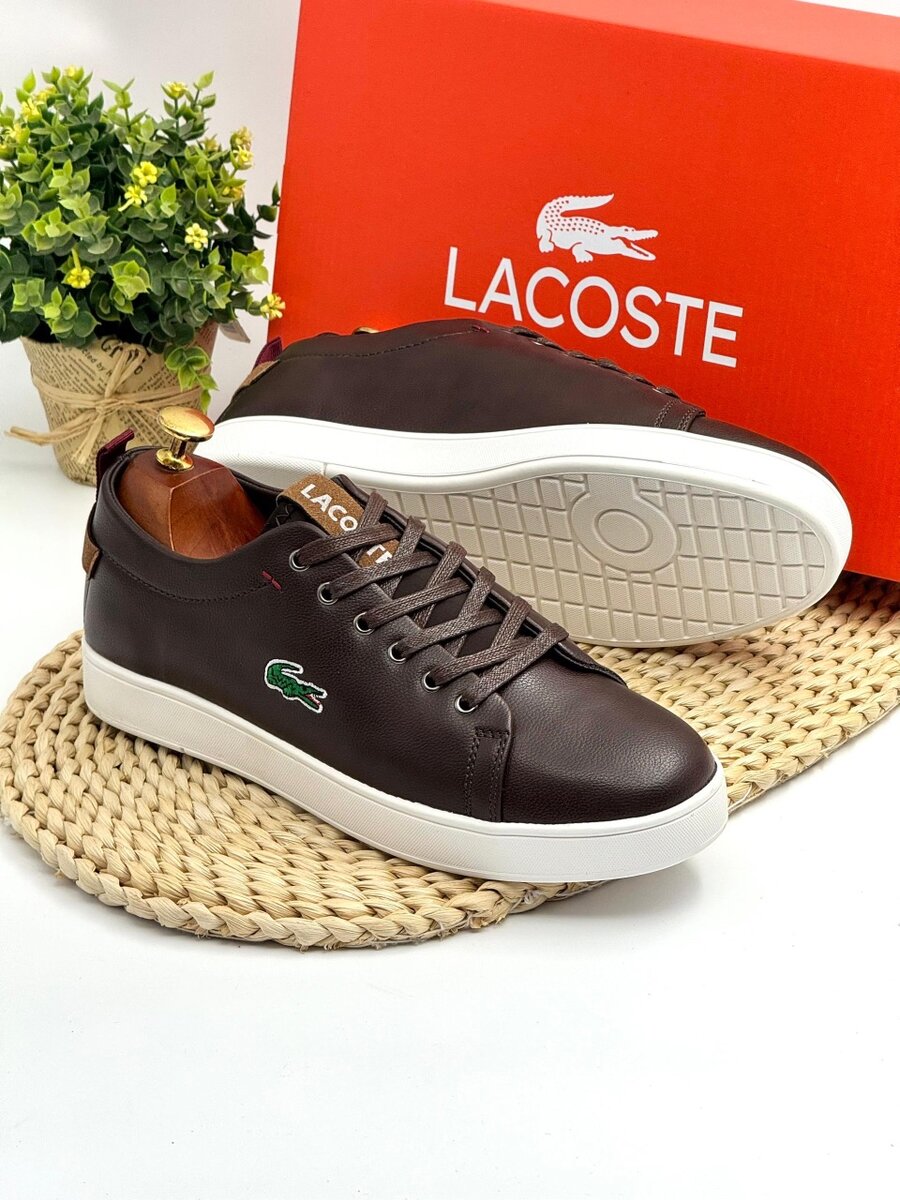 LACOSTE COFFE AND WHITE