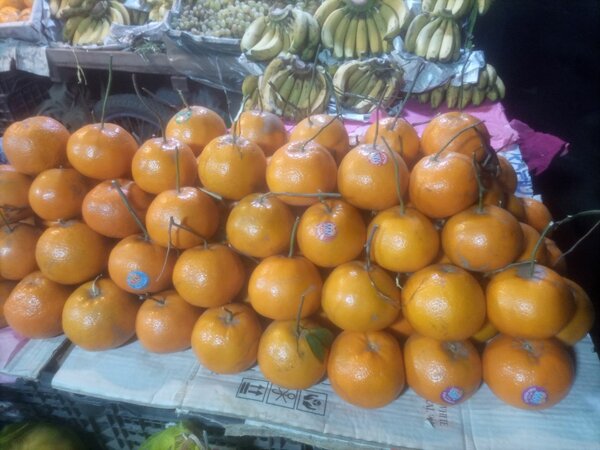 Orange 12 pcs