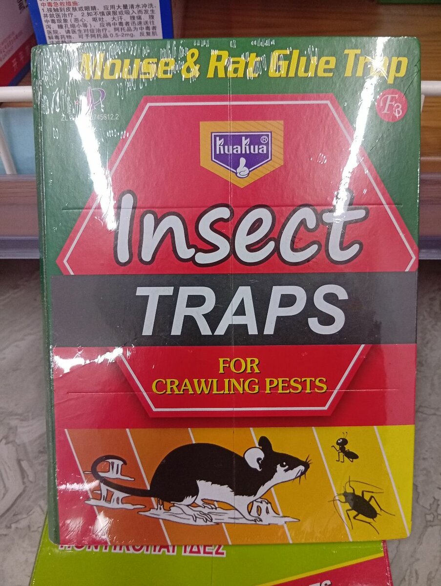 Pièges à colle pour souris et rats