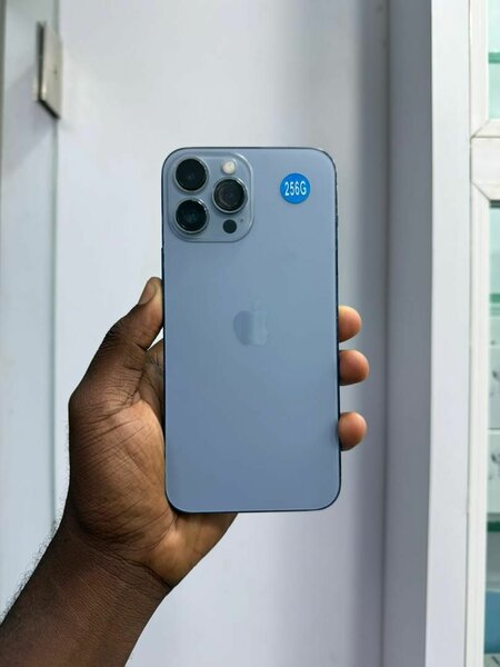 iPhone 13 Pro Max 256Go tout