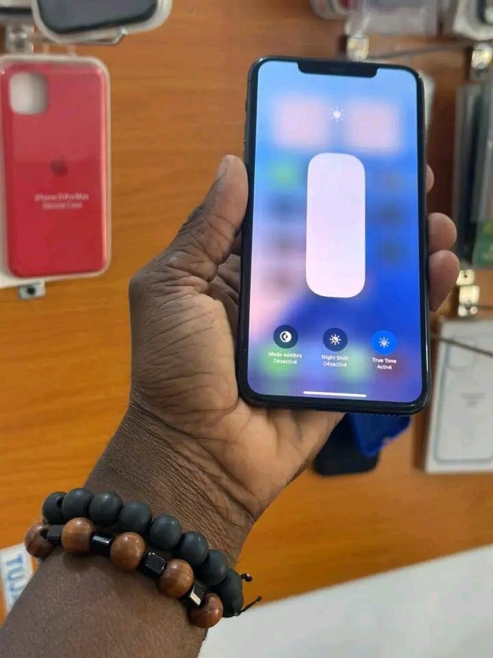 iPhone 11 Pro - 256 Go Gris