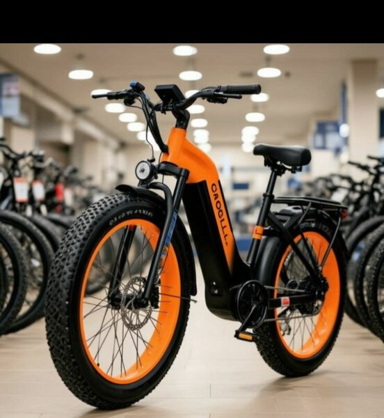 Vélo électrique tout-terrain